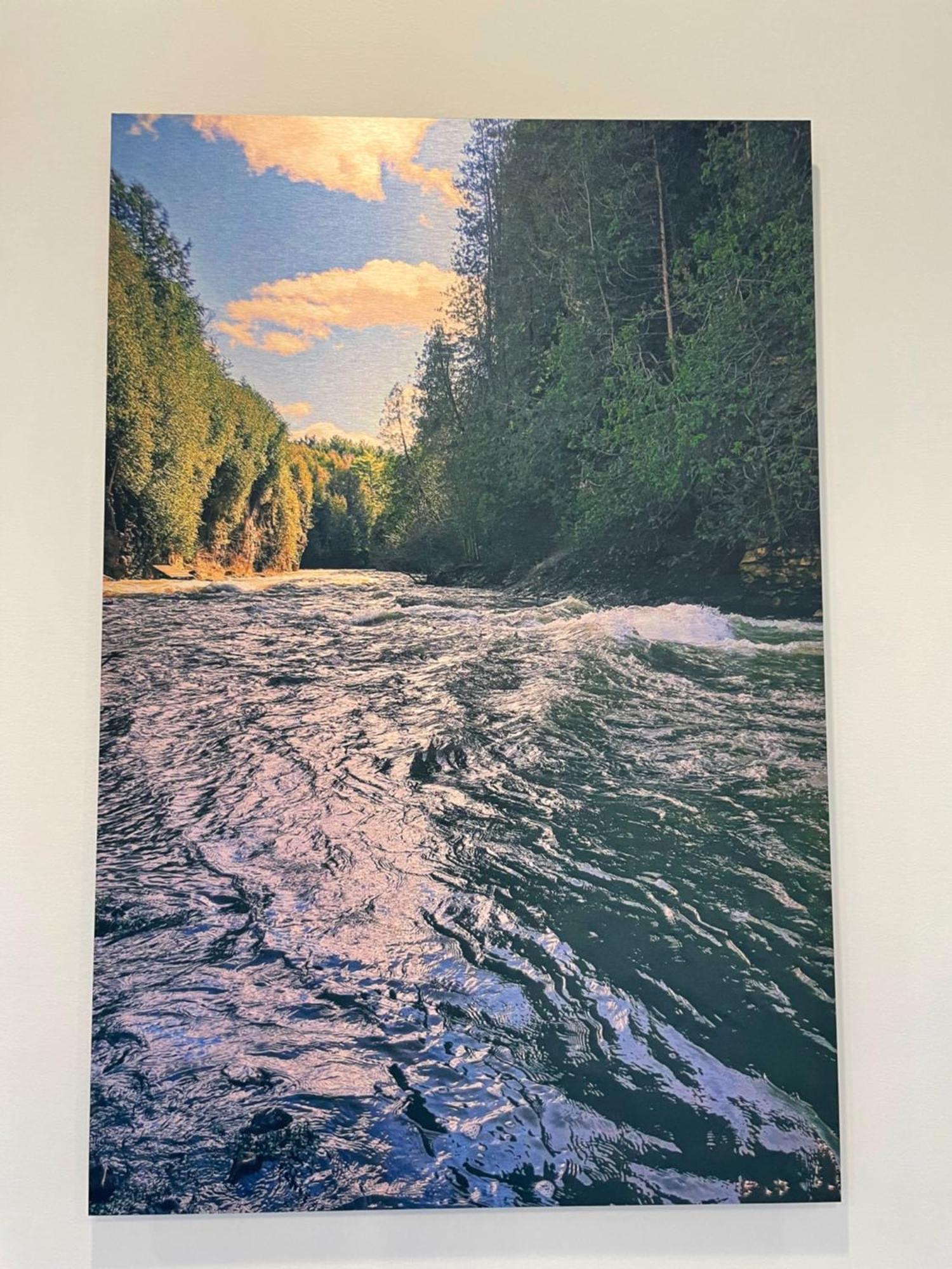 Elora'S Irvine River Suite Bagian luar foto